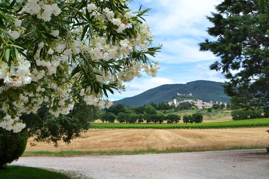 Camere I Monelli Assisi Exteriör bild